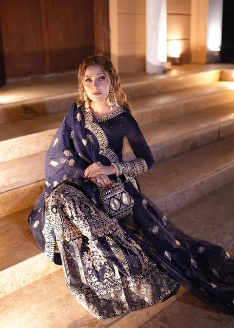 Anchal - Traditional Embroidered Suit