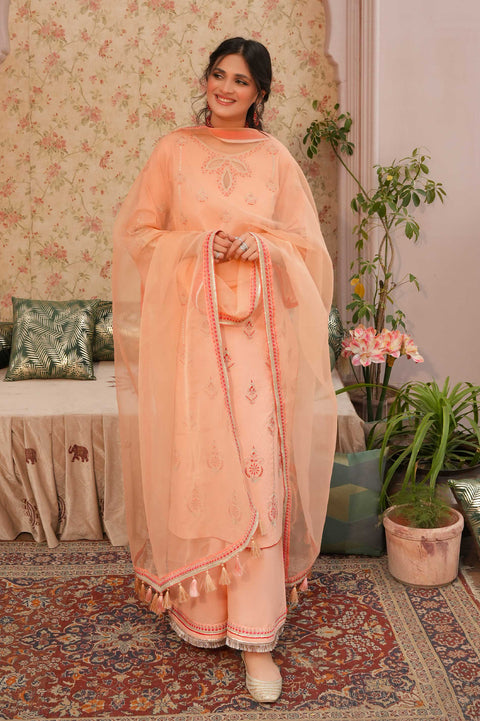 ANNARA BEGUM - Aabish 3 PC Unstitched/Stitched Embroidered Lawn Semi Formal Wear