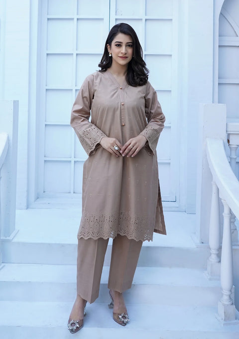 Stitched 2Pc Schiffli Border Embroidered Lawn JASHAN-S25-0007