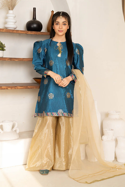 Daisy Outfit - Zahra 2 PC Embroidered Zinc Katan Silk Festive/Party Wear