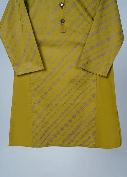 Mehndi Green Block Printed Kurta