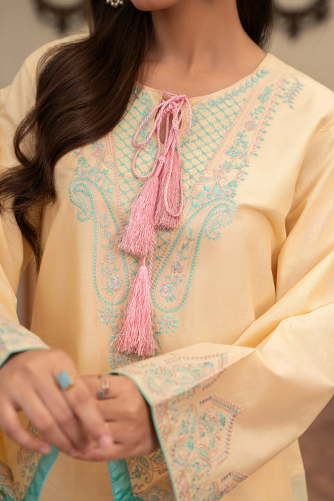 ANNARA BEGUM - Haneen 2 PC Stitched Embroidered Lawn Semi Formal Wear