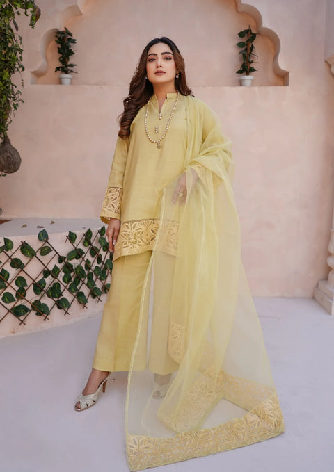 YoloPret - Stitched 3Pc Embroidered Raw Silk with Organza Embroidered Bordered Dupatta JASHAN-S25-00340