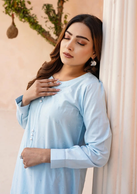 Stitched 2Pc Schiffli Border Embroidered Lawn JASHAN-S25-0005