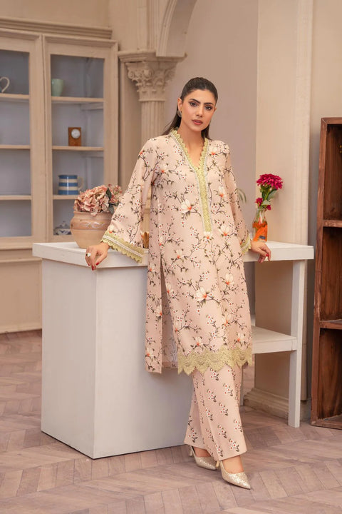 Eileen - 2pc Stiched D2-Pl Pakistani Dress