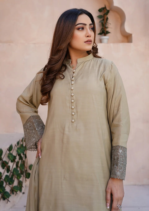 YoloPret - Stitched 3Pc Embroidered Raw Silk with Farshi Shalwar with Chiffon Embroidered Bordered Dupatta JASHAN