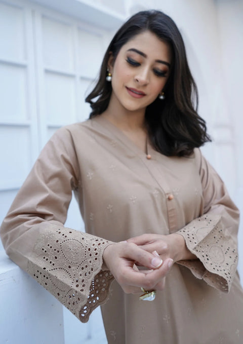 Stitched 2Pc Schiffli Border Embroidered Lawn JASHAN-S25-0007