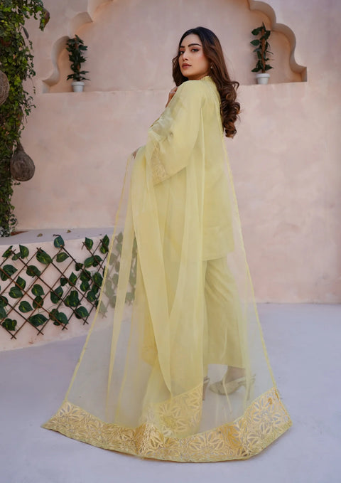 YoloPret - Stitched 3Pc Embroidered Raw Silk with Organza Embroidered Bordered Dupatta JASHAN-S25-00340