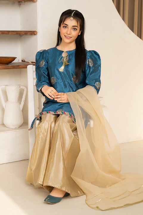 Daisy Outfit - Zahra 2 PC Embroidered Zinc Katan Silk Festive/Party Wear