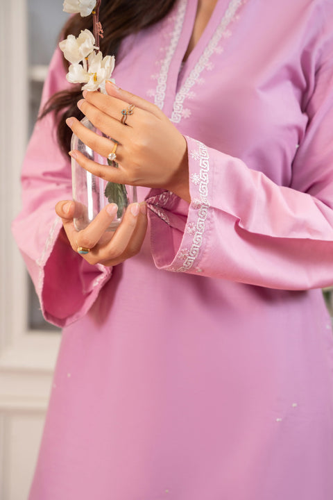 ANNARA BEGUM - Ayra 2 PC Stitched Embroidered Lawn Semi Formal Wear