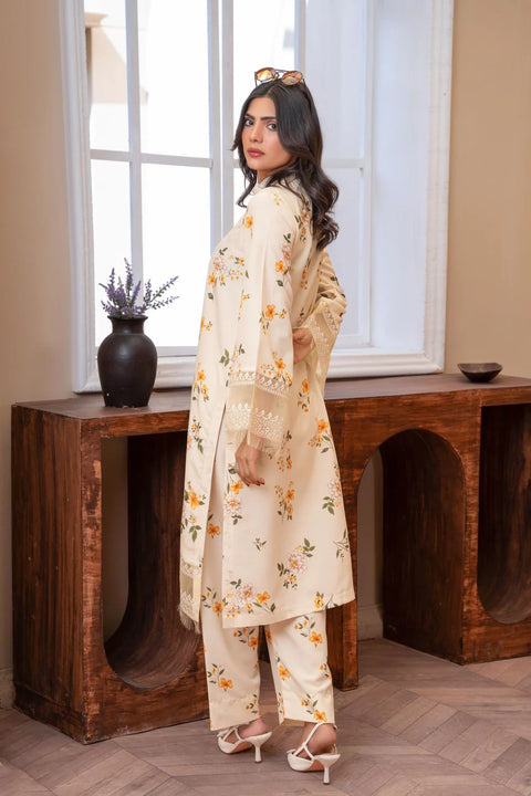 Eileen - 2pc Stiched D3-Pl Pakistani Dress