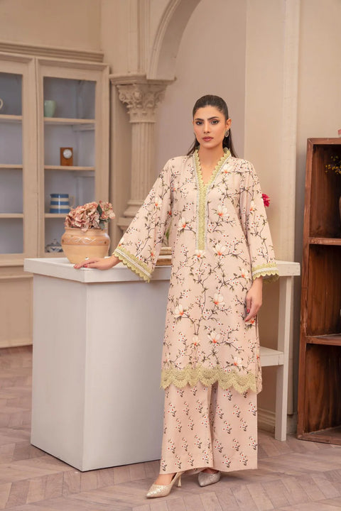 Eileen - 2pc Stiched D2-Pl Pakistani Dress