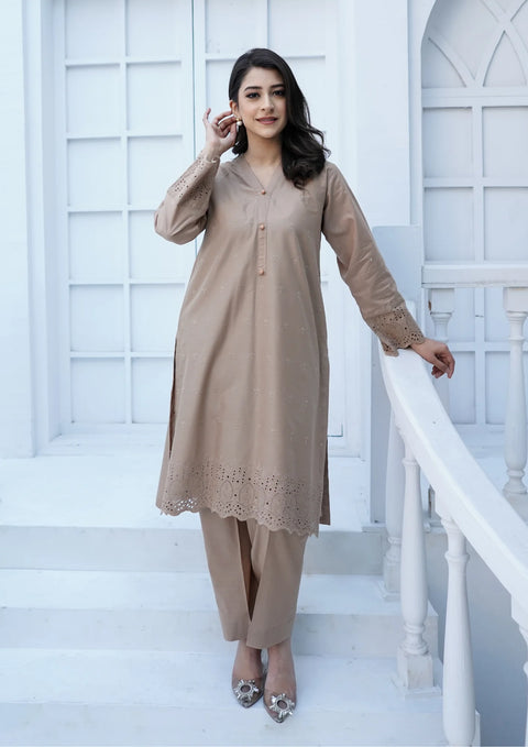 Stitched 2Pc Schiffli Border Embroidered Lawn JASHAN-S25-0007