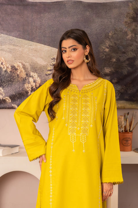 ANNARA BEGUM - Nahira 2 PC Stitched Embroidered Lawn Semi Formal Wear