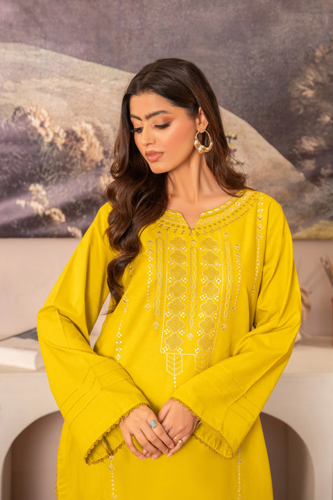 ANNARA BEGUM - Nahira 2 PC Stitched Embroidered Lawn Semi Formal Wear