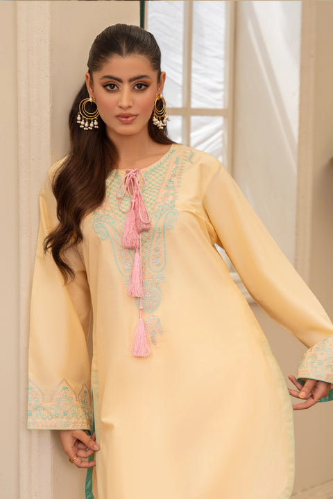 ANNARA BEGUM - Haneen 2 PC Stitched Embroidered Lawn Semi Formal Wear