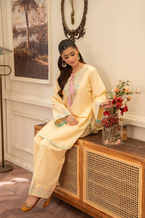 ANNARA BEGUM - Haneen 2 PC Stitched Embroidered Lawn Semi Formal Wear