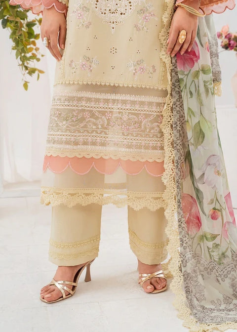 Elnaz 11 - Embroidered Festive Collection