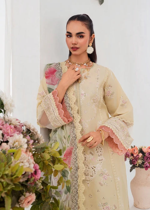 Elnaz 11 - Embroidered Festive Collection