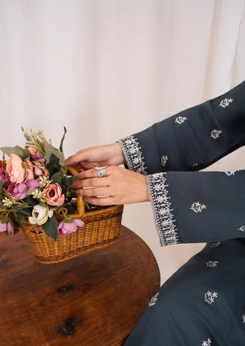 3pc Embroidered Silk Karandi with Embroidered Border Shawl Grey