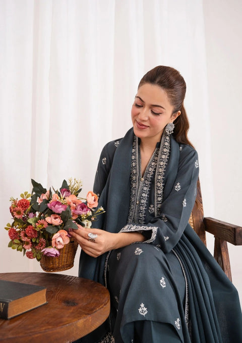 3pc Embroidered Silk Karandi with Embroidered Border Shawl Grey