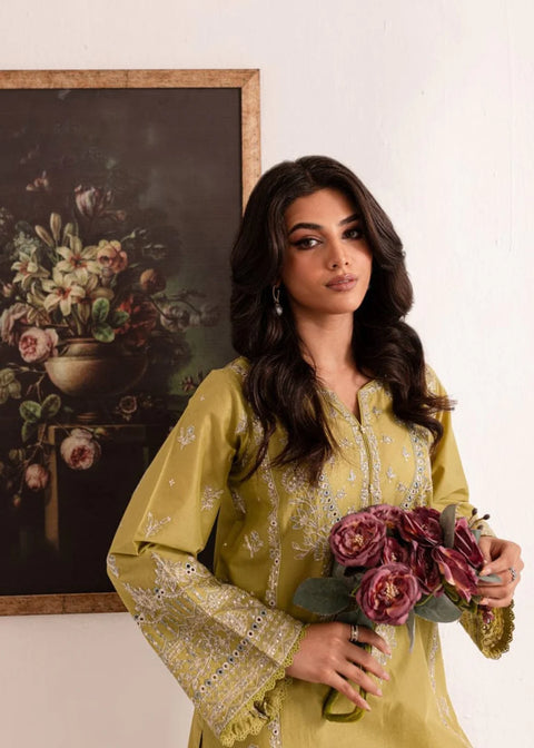 Rang - E - Bahar 2 Piece Dress