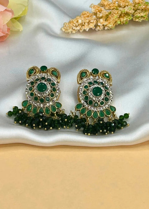 ER265 Ethnic Earrings