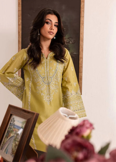 Rang - E - Bahar 2 Piece Dress